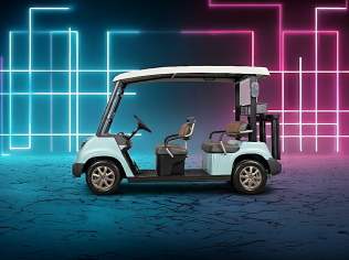 Fairway Green GA300 Golf Cart